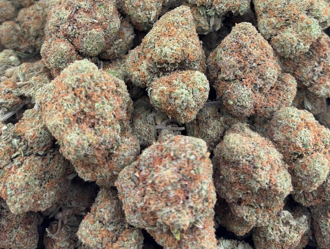 •$525/550 #GG680 - GSC -OG (no additional promo)