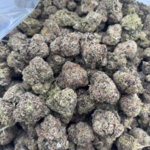 •875/900 #GG656 - CandyLand “N” Clearance - No additional promo.